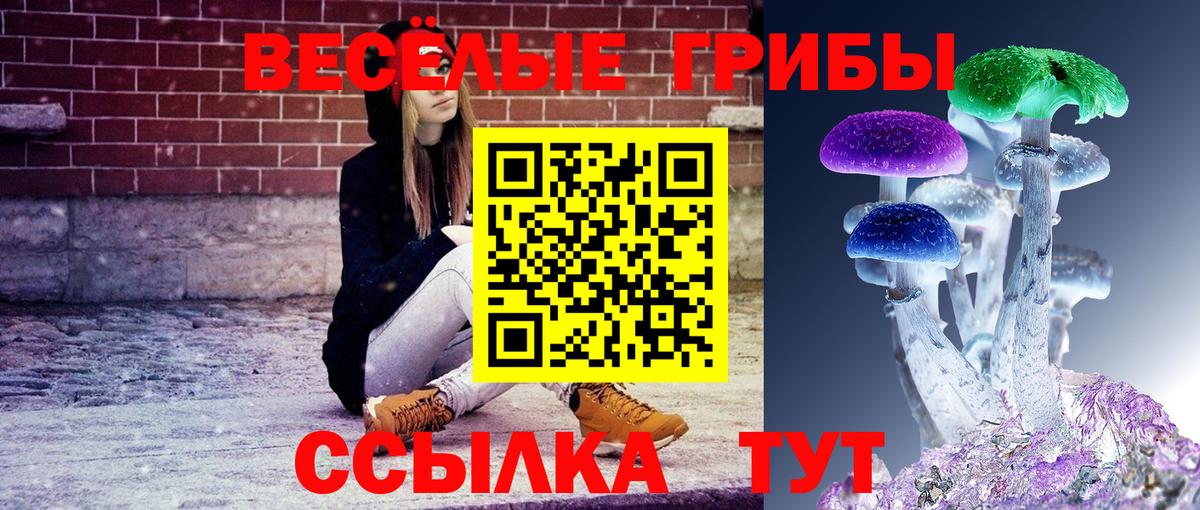 Кизилюрт  Псилоцибиновые грибы Cubensis  Псилоцибиновые грибы Cubensis  Вход с VPN 