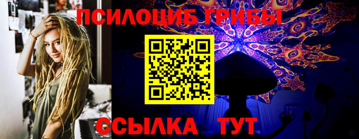 Псилоцибиновые грибы прущие грибы Кизилюрт