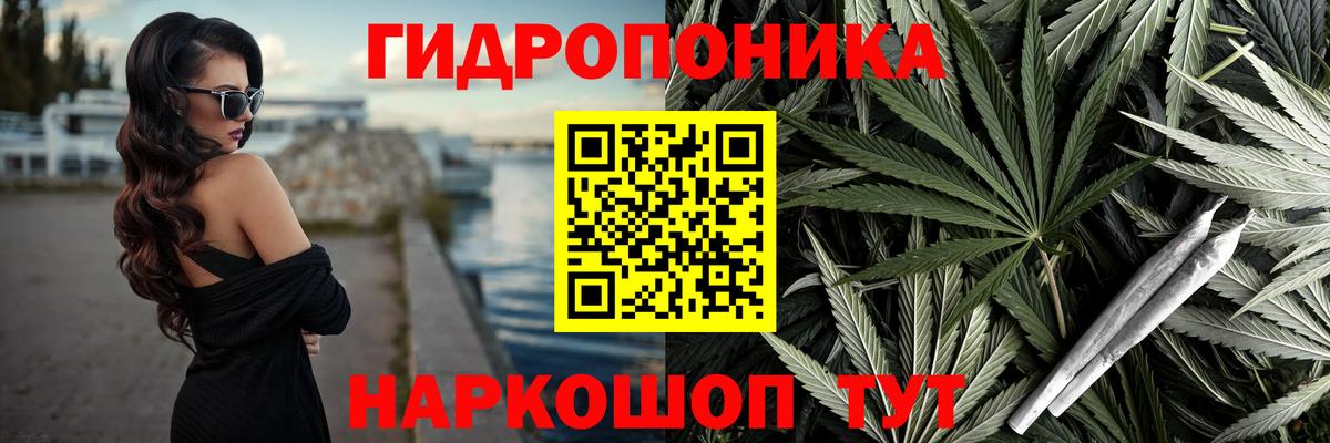 Конопля LSD WEED Кизилюрт